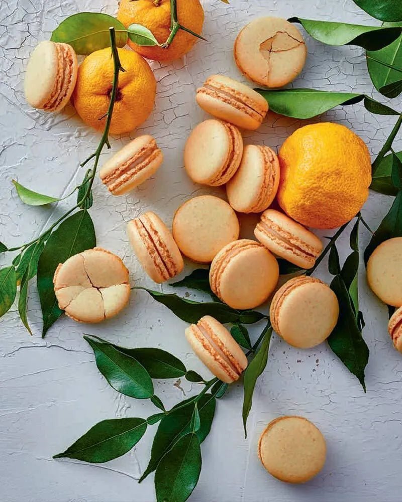 Vegan Pastry Pierre Herme | The Free-From Bookshop